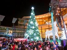 Surrey Tree Lighting Festival 巨型聖誕樹亮燈儀式