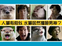 Otter 難怪中山公園的水瀨找不著 原來牠長這樣！