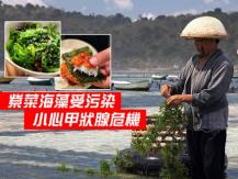 Seaweed 海洋污染導致紫菜海藻中的碘含量增加 每日進食有潛在風險
