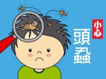 Head lice 春眠不覺曉 處處頭蝨擾