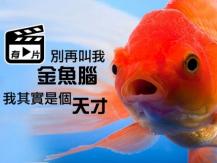 總是忘東忘西？這也可能是聰明的象徵！