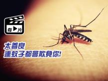 Mosquito bite 為何蚊子總是追著你不放? 研究：因為你太善良！