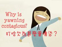 Yawning 打哈欠為甚麼會傳染？