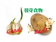 Sprouting veggies 發芽食物  三種有毒  三種有益