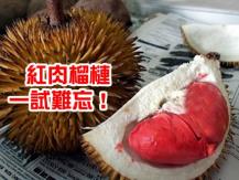 世上食物千奇百怪 繼藍色香蕉 原來也有紅肉榴槤