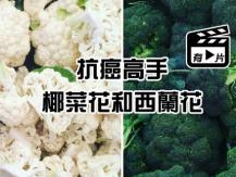 Cauliflower vs Broccoli 椰菜花和西蘭花 一白一青 甚麼人吃最適合？