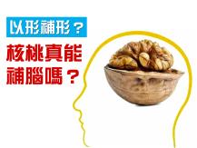 Walnut 核桃真能補腦嗎？看看專家怎麼說