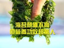 Seaweed 海苔營養功效超驚人 補鐵 防癌 降膽固醇 No.1 超級食物
