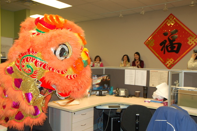 Lion Dance 金獅採青 開年大吉2534