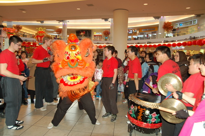 Lion Dance 金獅採青 開年大吉