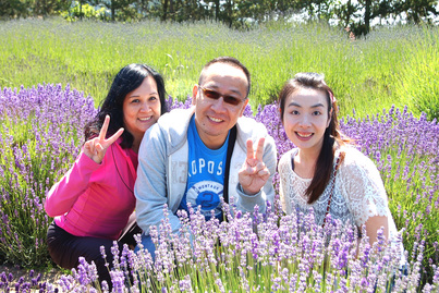 春田花花 Lavender2864