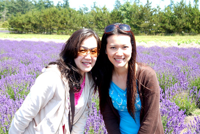 春田花花 Lavender2871