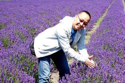 春田花花 Lavender2872