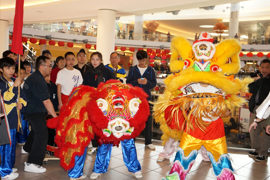 CNY Lion Dance 大年初一雙獅採青4634