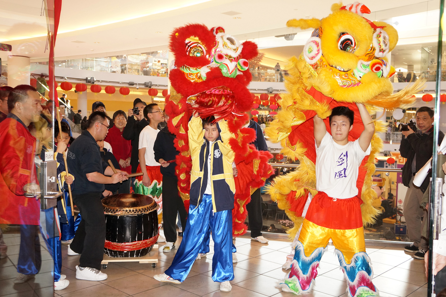 CNY Lion Dance 大年初一雙獅採青4635