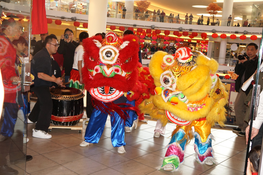 CNY Lion Dance 大年初一雙獅採青4637