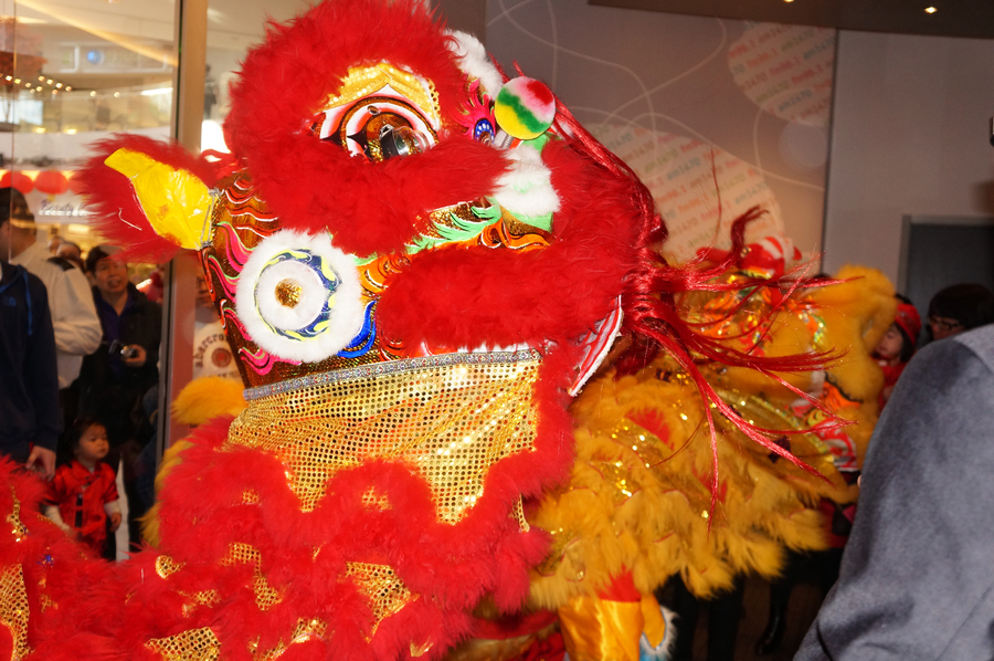 CNY Lion Dance 大年初一雙獅採青4641