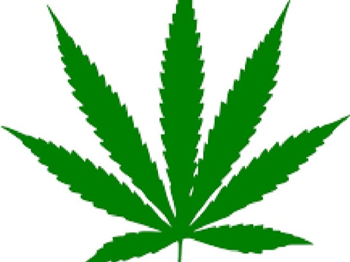 聯邦檢討大麻合法化法例