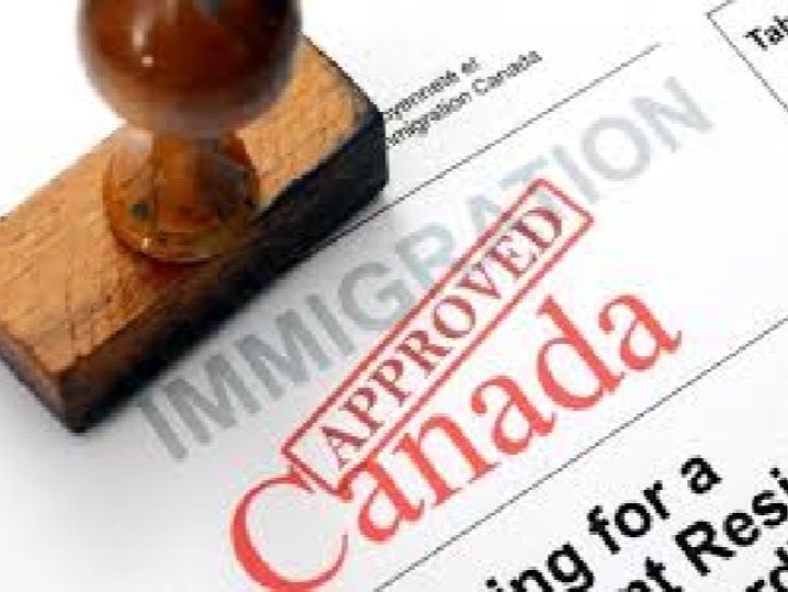 加拿大移民部：近期來自中國的移民申請數量激增