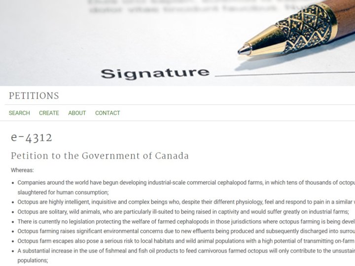 逾萬人要求加拿大禁止章魚養殖場
