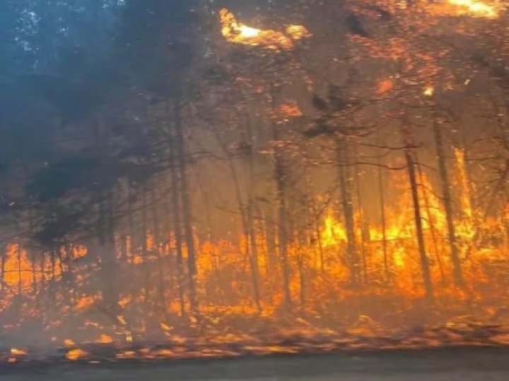 Halifax快速移動山火 14000人需要疏散