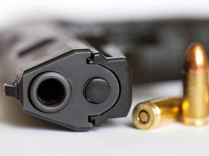 聯邦公安部長就首個全國反對槍械暴力日發表聲明