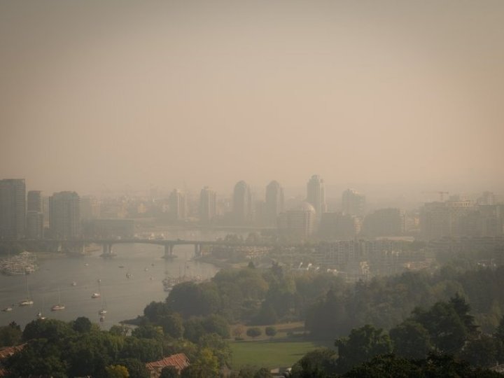 美國首都華盛頓特區發出紅色代碼空氣質素警示主要由於魁省及安省山火冒出的煙霧繼續漂向南方