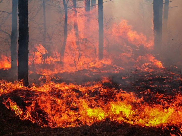 聯邦自然資源部長韋金遜宣布聯邦政府對培訓城市消防員撲救山火的撥款增加1倍增至$80萬