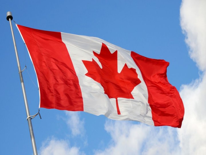 加拿大卓越護理中心發表報告促請當局擬定全國性策略肯定護理員的價值