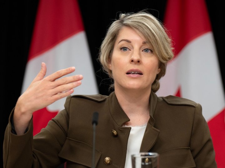 加拿大制裁4人 涉嫌針對巴勒斯坦平民及其財產進行暴力行為