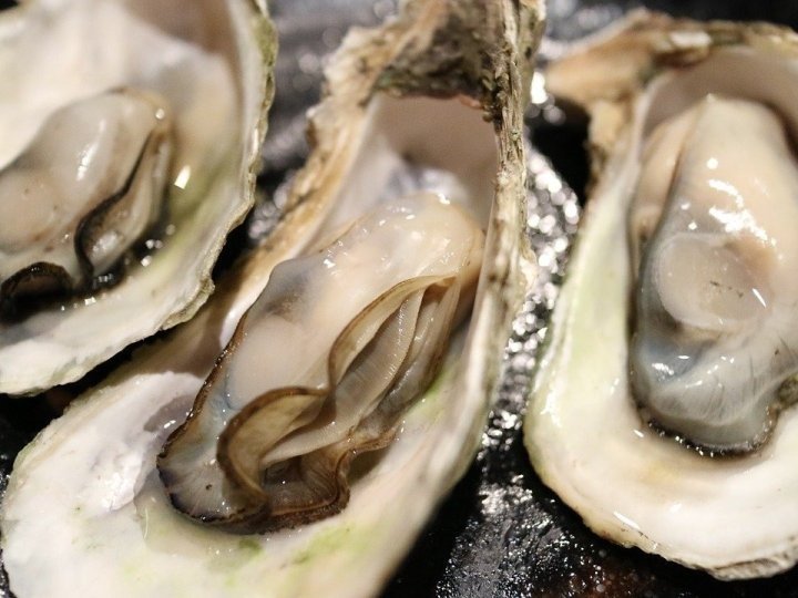 Egmont Bay採集生蠔首現水生動物疾病 加拿大食品檢驗局指對食品安全不構成風險