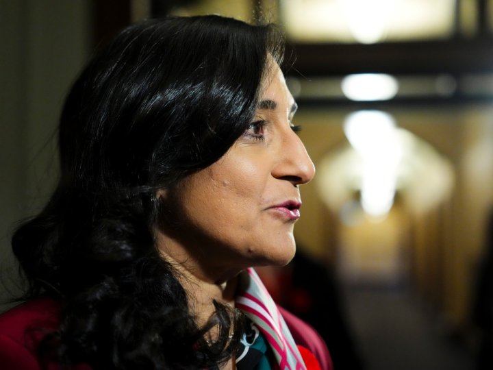 外長阿南德對中國恢復旅行社經營中國公民的加拿大團隊遊表示歡迎1762280919