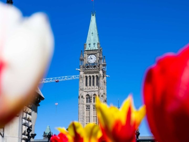 聯邦綠黨黨魁Elizabeth May認為對聯邦預算案投贊成票是錯誤1764627150