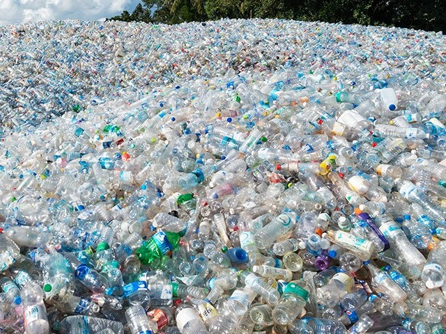 Featured News-聯邦暫停對一次性塑膠出口禁令