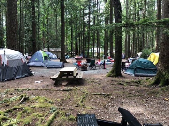 加拿大公園局正在更新其預訂露營營地系統