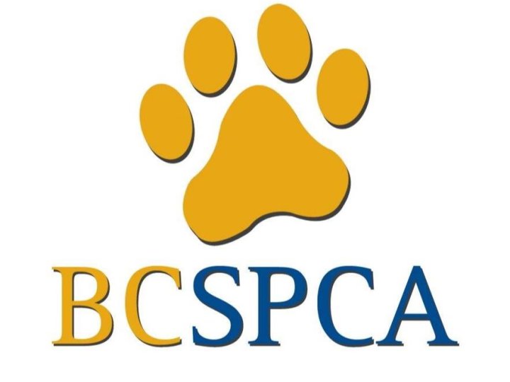 BC愛護動物協會: 寵物食物銀行供不應求