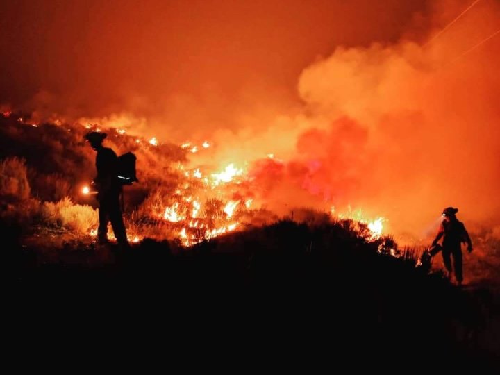BC山火服務說強風高溫以及乾燥空氣導致省東北部1處大型山火迅速蔓延