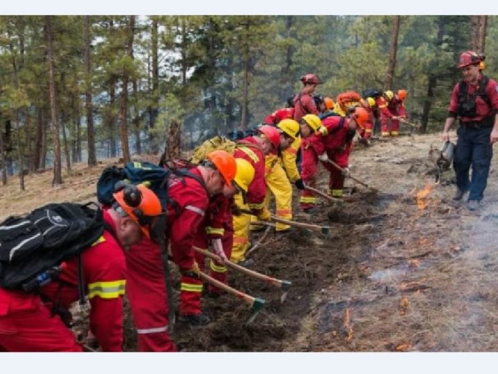 BC僱員工會指除非有更多資金及重組才可應對山火季節