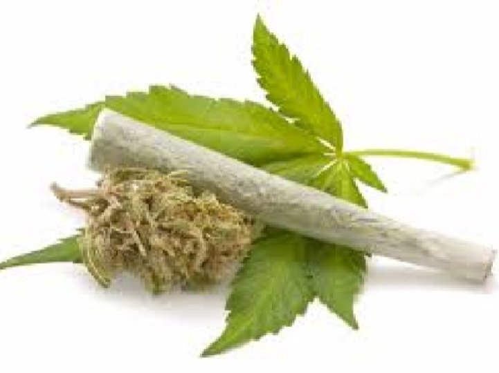 雖然昨日天氣和暖溫哥華未經許可舉辦的420大麻日活動與往年相比規模明顯較小