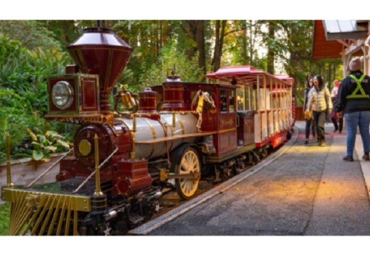 士丹利公園火車今年繼續停駛