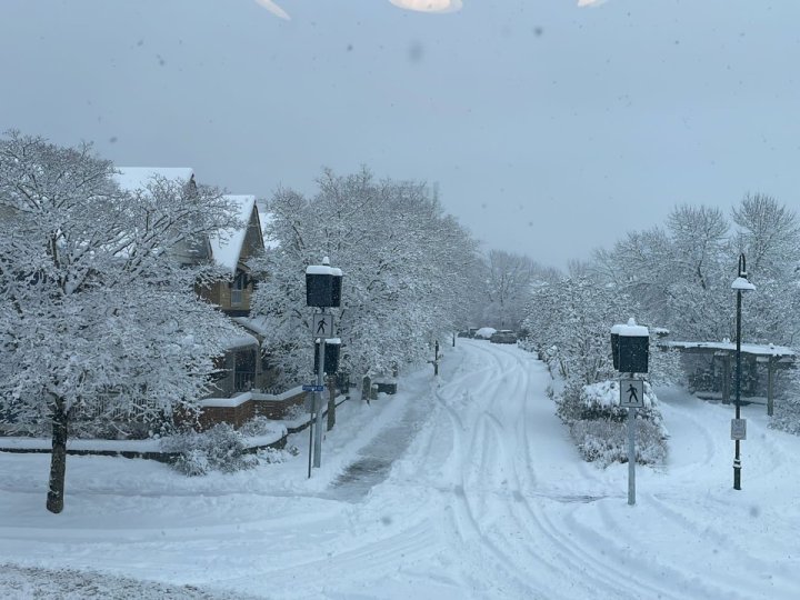 環境部繼續向卑詩省內陸地區發特別天氣聲明  指可能會有積雪