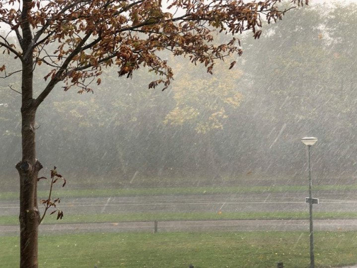 環境部對BC省中部及北部沿岸地區發出強風與暴雨警報。