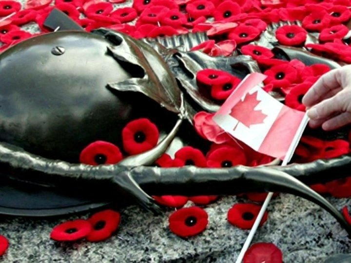 國殤日全省多地辦活動悼念戰亡　