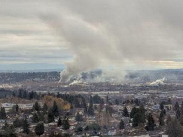 工業區前鋸木廠起火　黑煙濃罩菲沙河