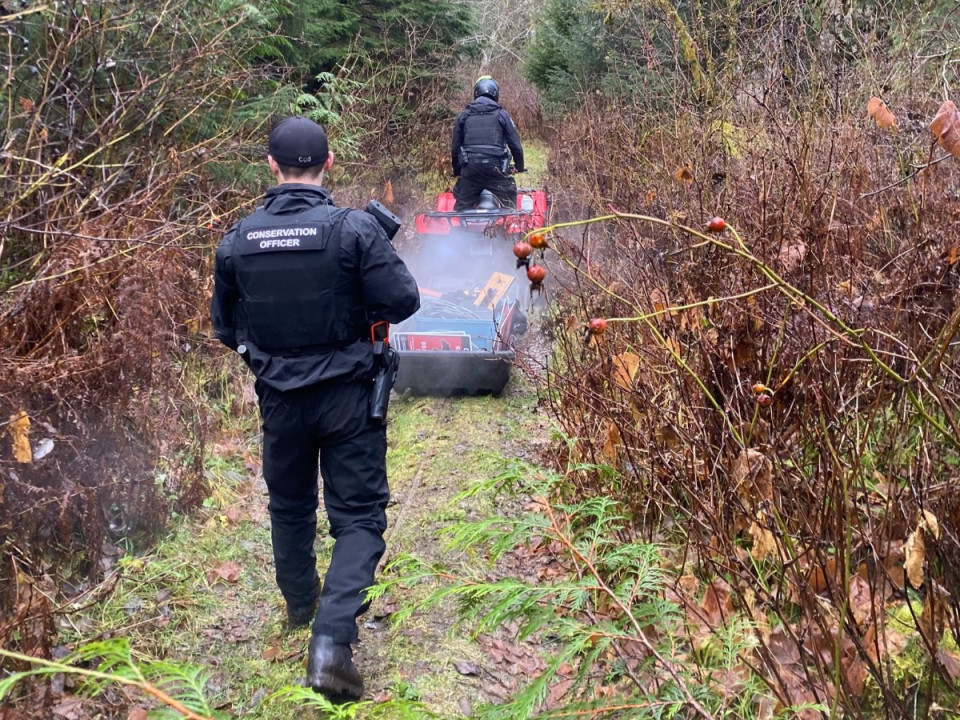 Featured News-護生人員搜捕一雌熊及兩幼熊涉襲擊小學師生