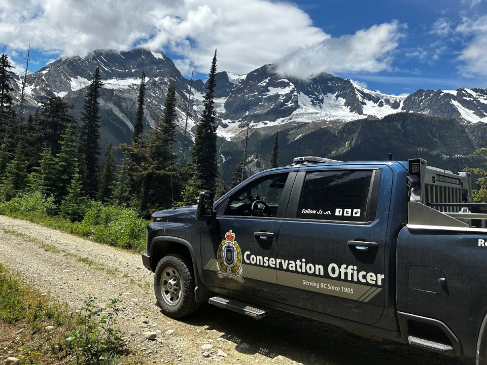 Featured News-卑詩省內陸灰熊襲擊師生事件  相關地區學生已獲準重返校園