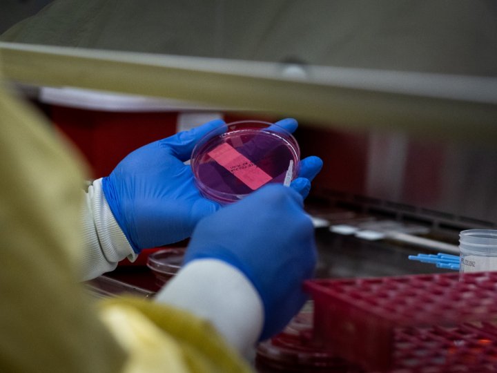 溫哥華''毒品使用者解放陣線''發言人說他對衛生部應對毒品危機缺乏緊迫感感到驚訝