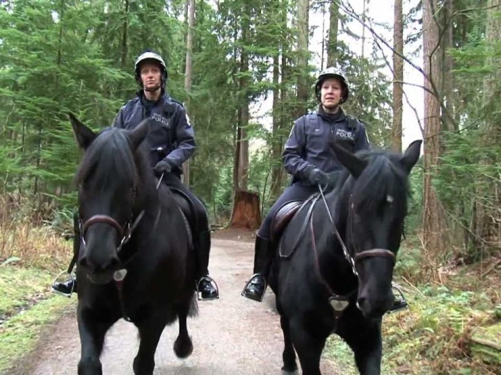 Stanley公園海堤完成年度維護 重新開放