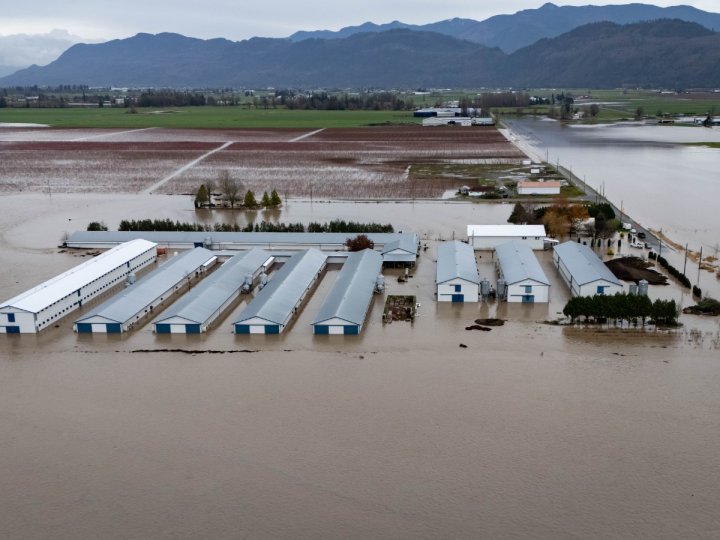 Abbotsford地區的洪水開始消退不過受洪水氾濫影響的菲沙河谷地區預料會有更多降雨早前區內幾百戶居民被廹疏散