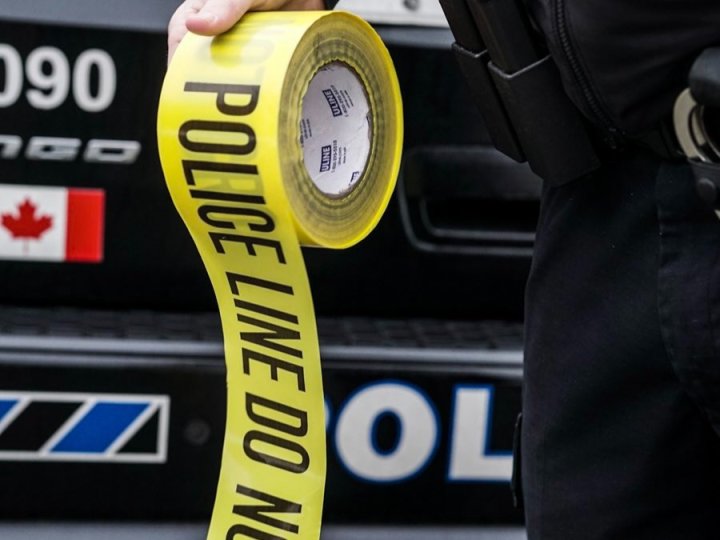 27歲女子Chilliwack懷疑被吹至倒塌大樹壓斃